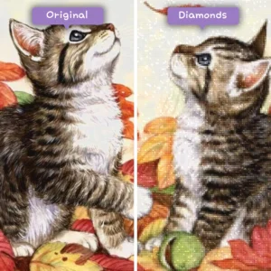 diamanter-troldmand-diamant-maleri-sæt-dyr-katte-fald-killinger-før-efter-webp
