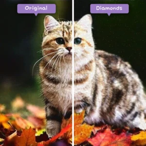 Diamonds-Wizard-Diamond-Painting-Kits-Tiere-Cat-falling-feline-before-after-webp