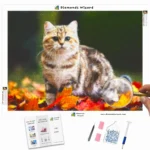 diamanten-wizard-diamant-schilderkits-dieren-kat-vallende-katachtige-canva-webp