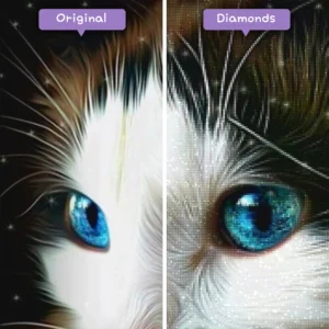 diamanter-trollkarl-diamant-målningssatser-djur-katt-fascinerande-blå-ögon-kattunge-före-efter-webp
