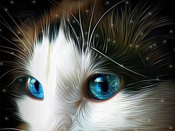 diamanter-trollkarl-diamant-målningssatser-Djur-Katt-Fascinerande blå ögon Kitten-original.jpeg