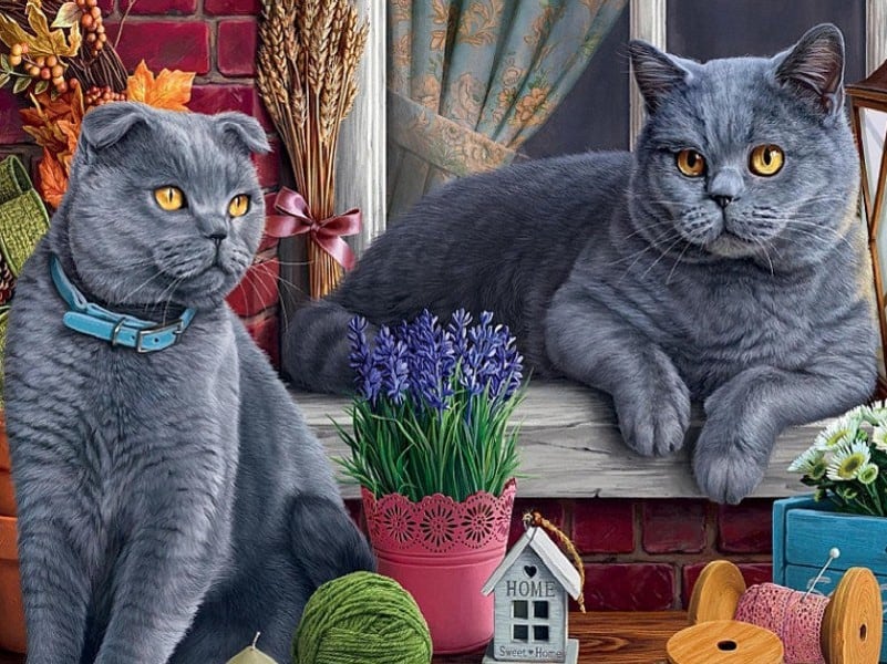Diamonds-Wizard-Diamond-Painting-Kits-Animals-Cat-Feline Friends-original.jpeg