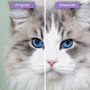 Diamonds-Wizard-Diamond-Painting-Kits-Tiere-Cat-Graceful-Ghost-Vorher-Nachher-Webp