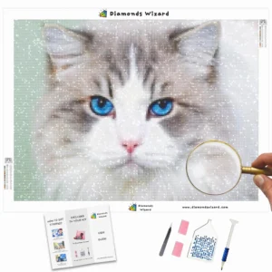Diamonds-Wizard-Diamond-Painting-Kits-Animals-Cat-Graceful-Ghost-Canva-Webp
