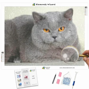 diamonds-wizard-diamond-painting-kits-animals-cat-gray-chubby-cat-canva-webp