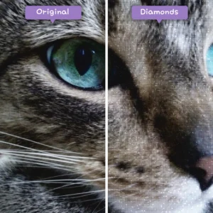 diamanter-trollkarl-diamant-målningssatser-djur-katt-grå-katt-blå-ögon-före-efter-webp