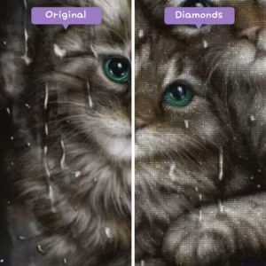 diamonds-wizard-diamond-painting-kits-animals-cat-kittens-in-the-rain-before-after-webp