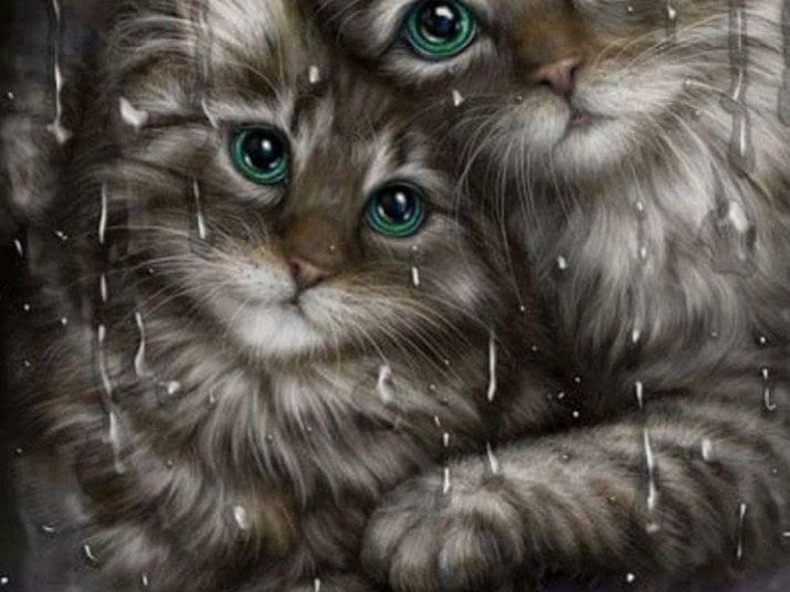 Diamonds-Wizard-Diamond-Painting-Kits-Animals-Cat-Kittens in the Rain-original.jpeg