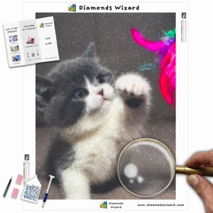 Diamonds-Wizard-Diamond-Painting-Kits-Animals-Cat-Playful-Kitten-Canva-Webp