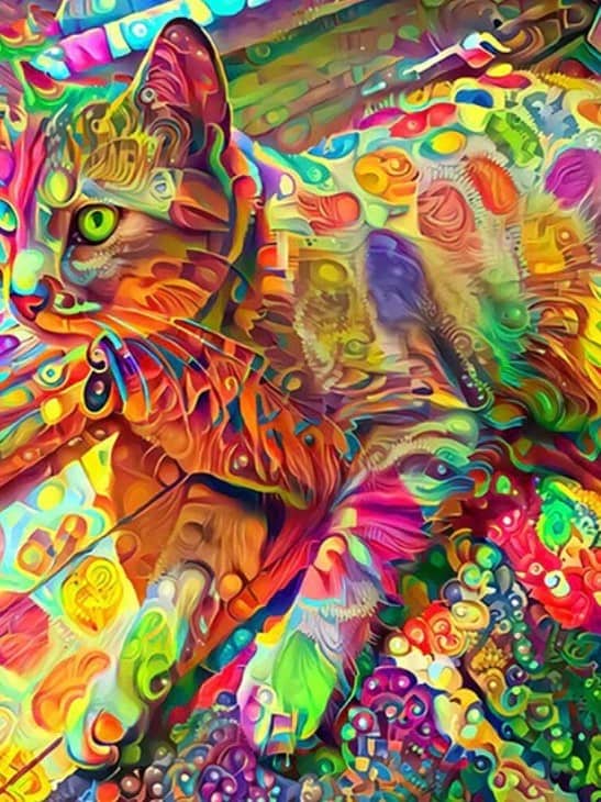 Diamonds-Wizard-Diamond-Painting-Kits-Animals-Cat-Psychedelic Cat-original.jpeg