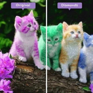 Diamanten-Zauberer-Diamant-Malerei-Sets-Tiere-Katze-Regenbogen-Kätzchen-vorher-nachher-webp