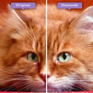 diamonds-wizard-diamond-painting-kits-animals-cat-red-tabby-cat-before-after-webp