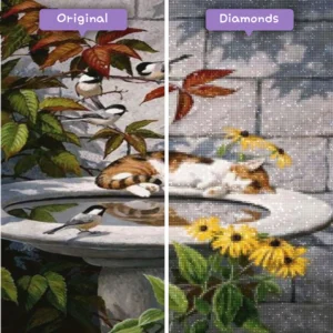 diamonds-wizard-diamond-painting-kits-animals-cat-sleeping-cat-in-a-birdbath-before-after-webp