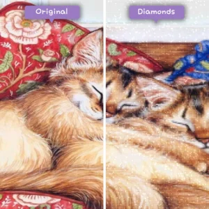 Diamanten-Zauberer-Diamant-Malerei-Sets-Tiere-schlafende-Katzen-Kätzchen-vorher-nachher-webp