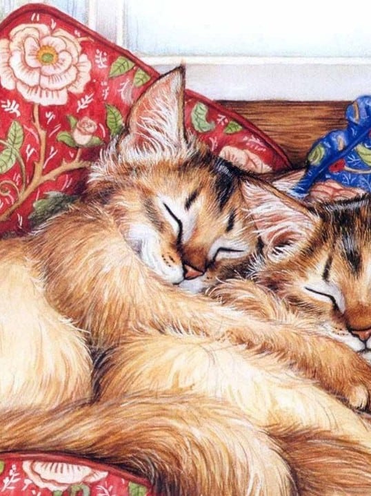 diamantes-mago-kits-de-pintura-de-diamantes-Animales-Gato-Gatitos Durmiendo-original.jpeg