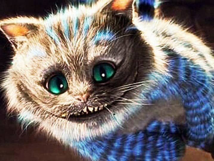 diamanti-mago-kit-pittura-diamante-Animali-Gatto-Spooky Kitten-original.jpeg