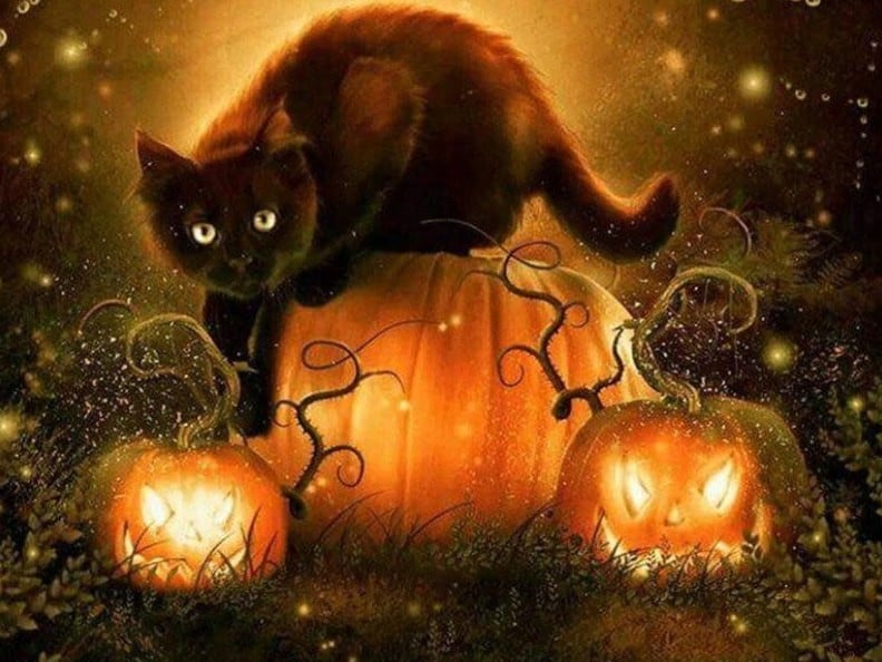 diamonds-wizard-diamond-painting-kits-Animals-Cat-Spooky Pumpkins-original.jpeg