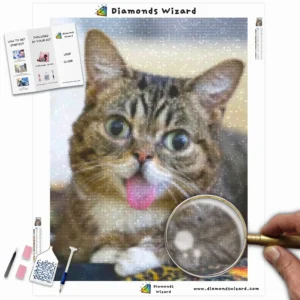 Diamonds-Wizard-Diamond-Painting-Kits-Animals-Cat-Stretching-Cat-Canva-Webp