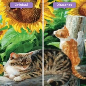 Diamanten-Zauberer-Diamant-Malerei-Sets-Tiere-Katzen-Sonnenblumen-Katzen-vorher-nachher-webp