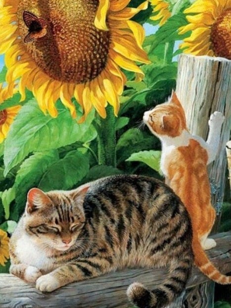 diamonds-wizard-diamond-painting-kits-Animals-Cat-Sunflower Cats-original.jpeg