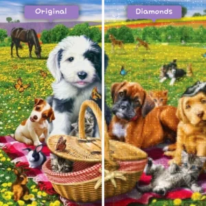 Diamonds-Wizard-Diamond-Painting-Kits-Tiere-Cat-Sunny-Day-Picknick-Vorher-Nachher-Webp