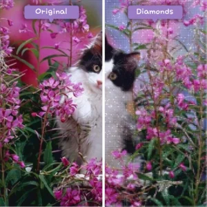 diamonds-wizard-diamond-painting-kits-animals-cat-sweet-kitten-in-blooming-flowers-before-after-webp