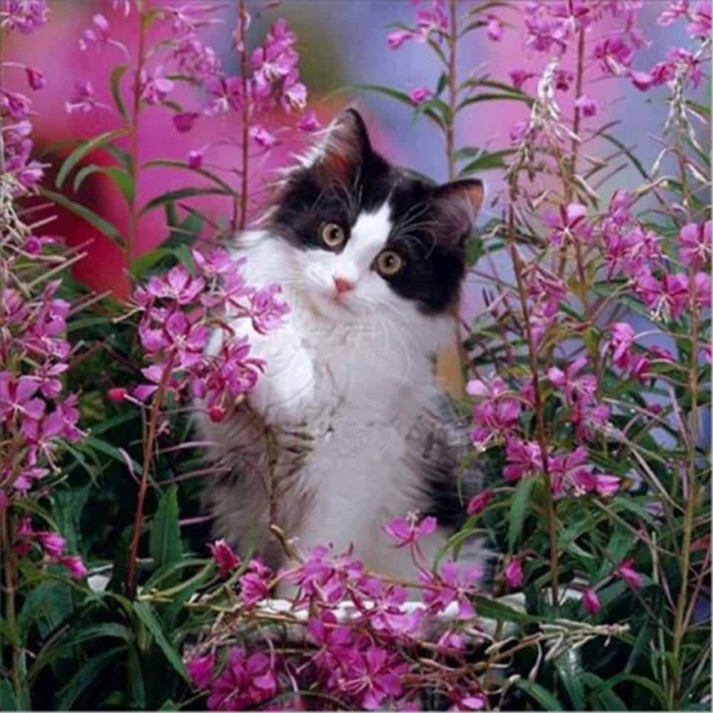 diamanter-veiviser-diamant-malesett-Dyr-Katt-Søt kattunge i blomstrende blomster-original.jpeg