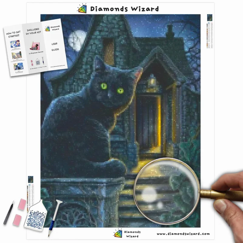 Diamondswizarddiamondpaintingkitsanimalscattheblackcatshousecanvawebp