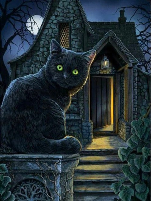 diamantes-mago-kits-de-pintura-de-diamantes-Animales-Gato-La casa del gato negro-original.jpeg