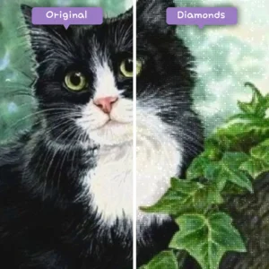 diamanten-wizard-diamant-schilderkits-dieren-kat-de-zwart-witte-kat-voor-na-webp