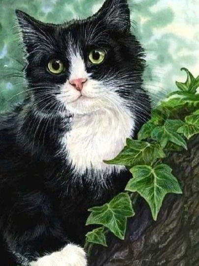diamanti-mago-kit-pittura-diamante-Animali-Gatto-Il gatto bianco e nero-originale.jpeg