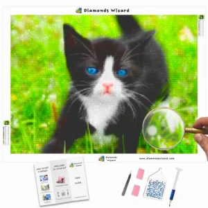 Diamonds-Wizard-Diamond-Painting-Kits-Tiere-Cat-the-Black-and-White-Kitten-Canva-Webp