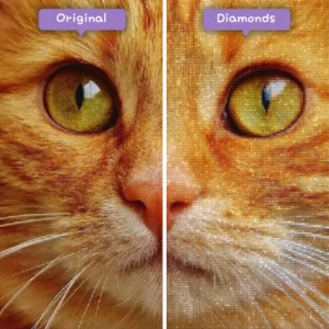 Diamonds-Wizard-Diamond-Painting-Kits-Tiere-Cat-Vibrant-Tabby-Vorher-Nachher-Webp