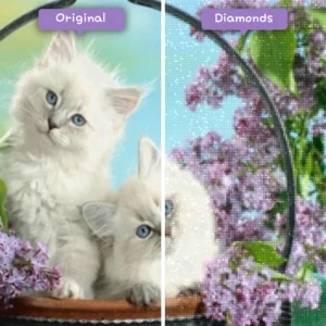 Diamonds-Wizard-Diamond-Painting-Kits-Tiere-Cat-White-Furry-Friends-in-bloom-before-after-webp