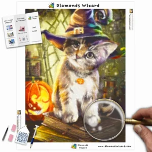 diamonds-wizard-diamond-painting-kits-animals-cat-witchs-cat-canva-webp