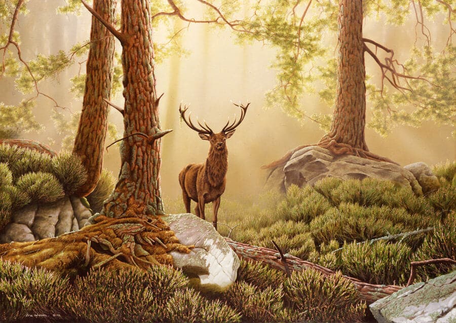 diamonds-wizard-diamond-painting-kits-Animals-Deer-Majestic Red Deer in the Forest-original.jpeg