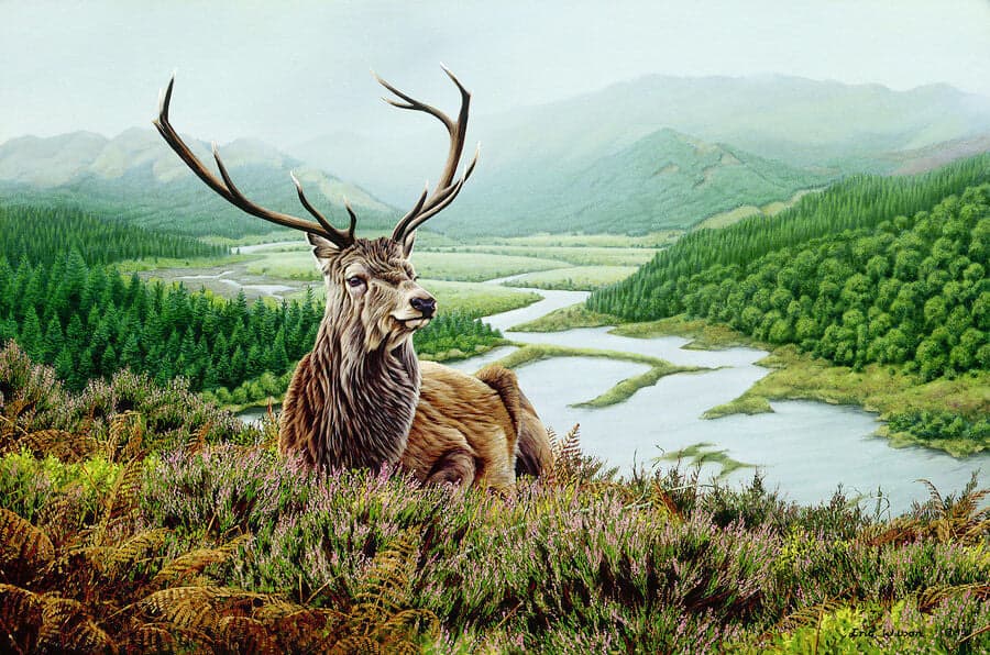 diamanter-trollkarl-diamant-målningssatser-Djur-Hjortar-Wild Deer in the Mountains-original.jpeg