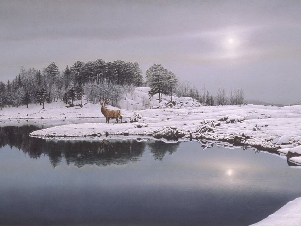 diamonds-wizard-diamond-painting-kit-Animals-Deer-Winter Lake with Deer-original.jpeg