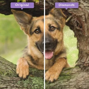 Diamonds-Wizard-Diamond-Painting-Kits-Tiere-Hund-entzückender-deutscher-Schäferhund-Welpe-in-einem-Baum-vorher-nachher-webp