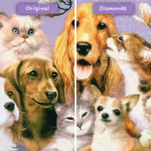 diamanten-wizard-diamant-schildersets-dieren-hond-puppy-speeltijd-voor-na-webp