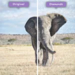 diamonds-wizard-diamond-painting-kits-animals-elephant-the-elephant-in-the-field-before-after-webp