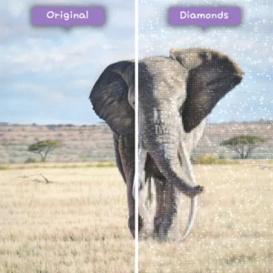 diamanter-trollkarl-diamant-målningssatser-djur-elefanten-elefanten-på-fältet-före-efter-webp