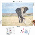 Diamonds-Wizard-Diamond-Painting-Kits-Animals-Elephant-the-Elephant-in-the-Field-Canva-Webp