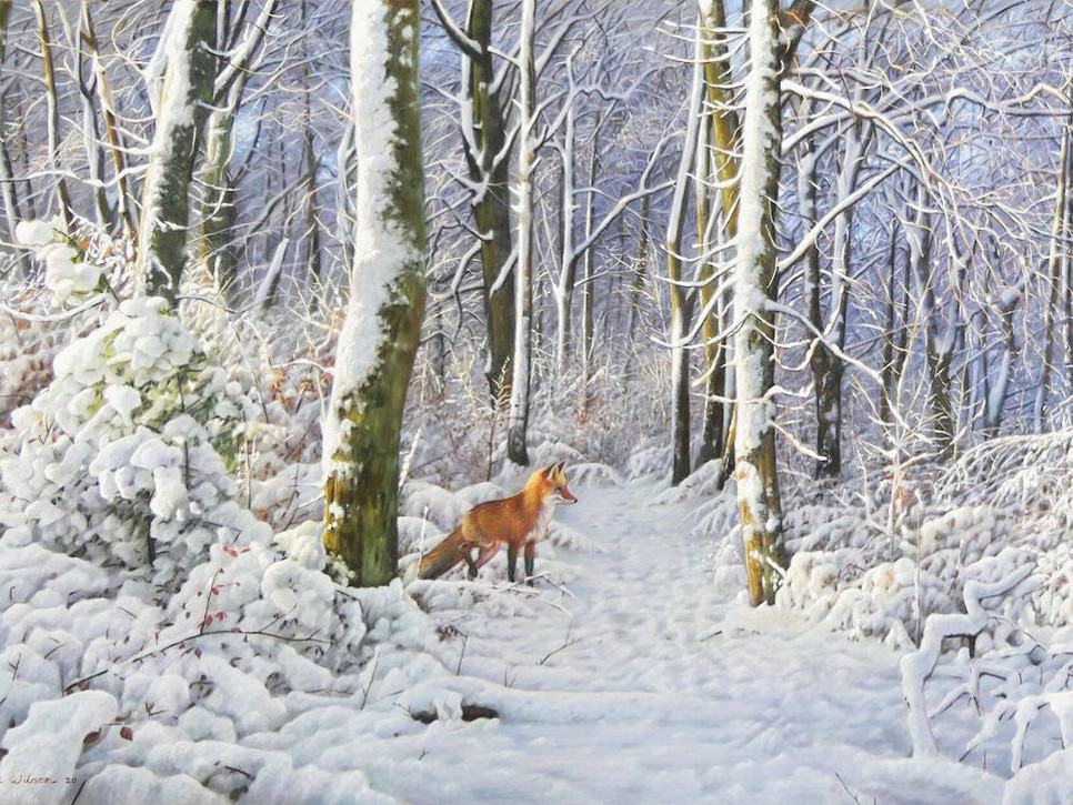 Diamonds-Wizard-Diamond-Painting-Kits-Animals-Fox-Snowy Woods und Red Fox-original.jpeg