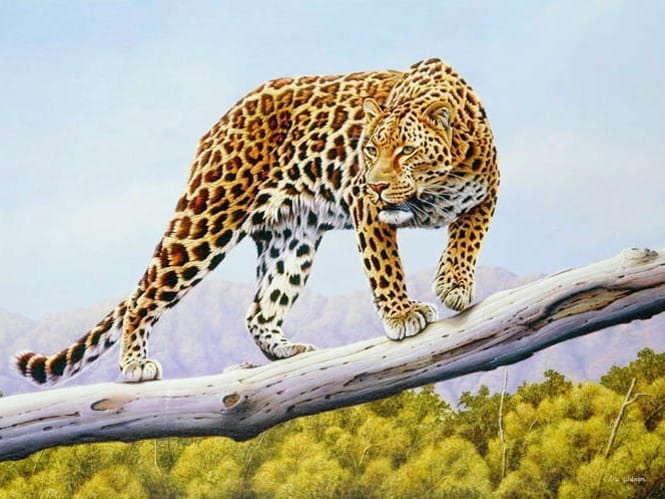 diamanti-mago-kit-pittura-diamante-Animali-Leopardo-Leopardo su un ramo-originale.jpeg