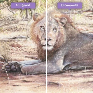 diamants-wizard-diamond-painting-kits-animaux-lion-majestic-lion-avant-après-webp