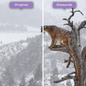 diamonds-wizard-diamond-painting-kits-animals-lion-majestic-mountain-lion-before-after-webp