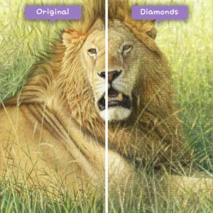 diamanter-veiviser-diamant-malesett-dyr-løve-løven-i-gresset-før-etter-webp