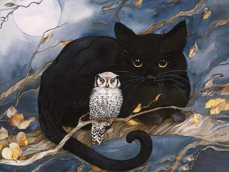 diamanten-wizard-diamond-painting-kits-Animals-Owl-Mysterious Night Owl-original.jpeg