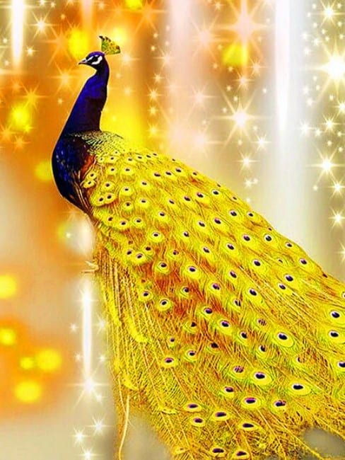 diamanter-trollkarl-diamant-målningssatser-Djur-Påfågel-Golden Peacock-original.jpeg